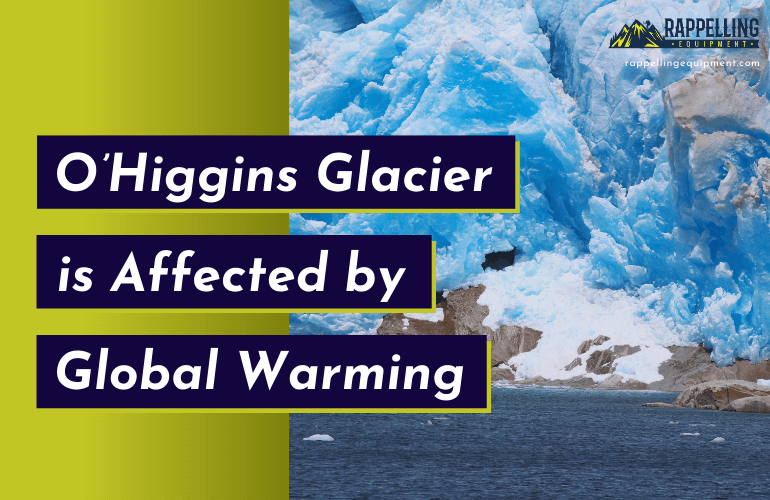 O’Higgins Glacier is Affected by Global Warming