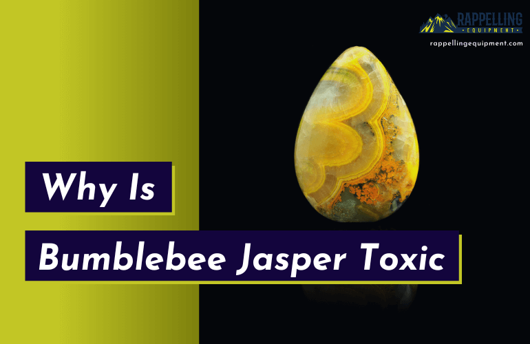 Is Bumblebee Jasper Toxic