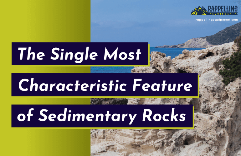 What is probably the single most important, original, depositional feature in sedimentary rocks