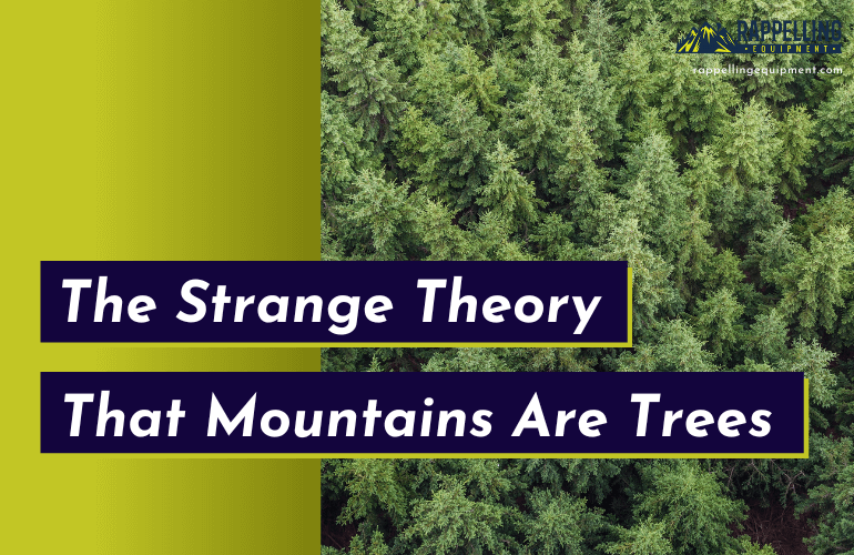 The Strange Theory That Mountains Are Trees