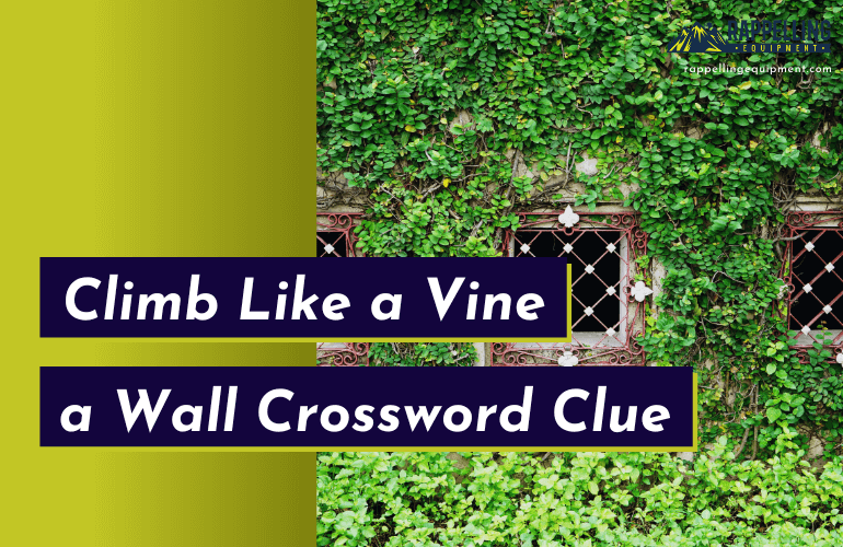 Climb Like a Vine Crossword Clue
