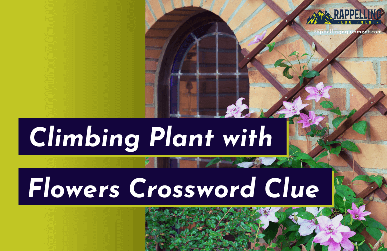 Climbing Plant with Flowers Crossword Clue