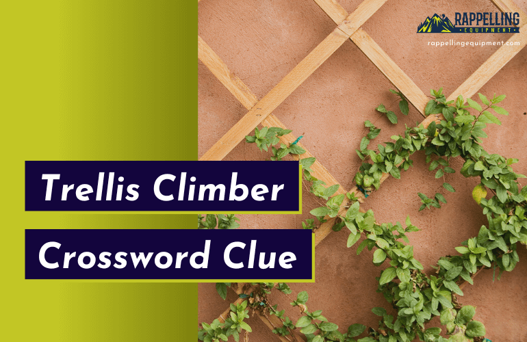 Trellis Climber Crossword Clue
