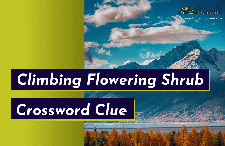 Climbing Flowering Shrub Crossword Clue
