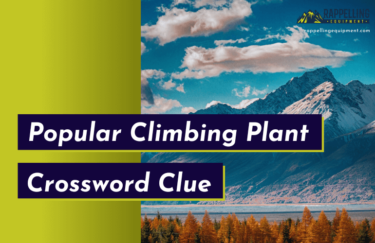 Popular Climbing Plant Crossword Clue