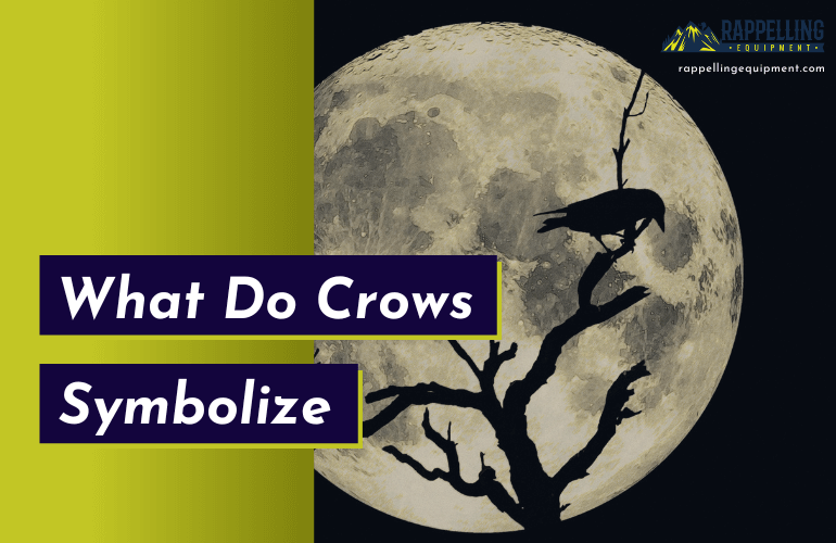 Crow Symbolism - What Do Crows Symbolize