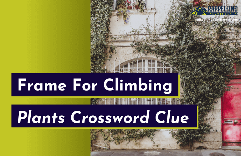 Frame For Climbing Plants Crossword Clue (Right Answers)