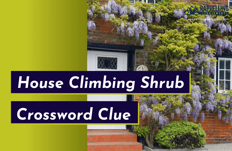 House Climbing Shrub Crossword Clue (Right Answers)
