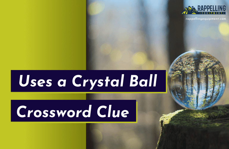Uses a Crystal Ball Crossword Clue