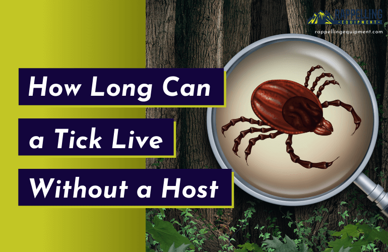 How Long Can a Tick Live Without a Host