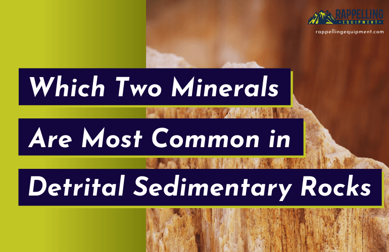 Which Two Minerals Are Most Common in Detrital Sedimentary Rocks