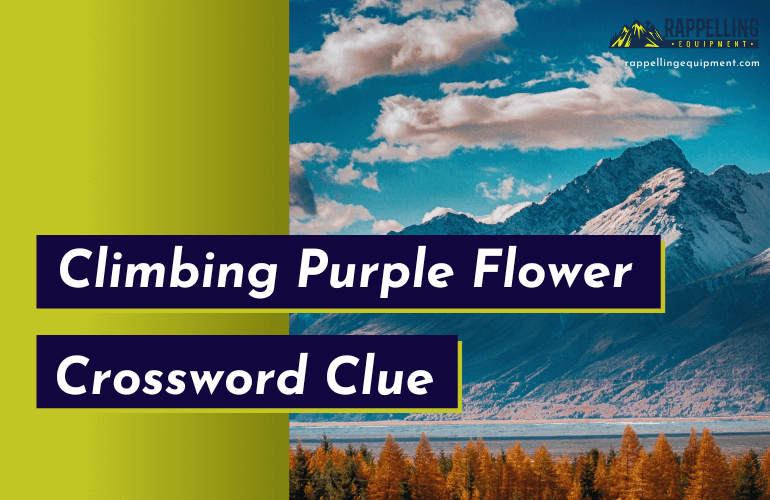Climbing Purple Flower Crossword Clue