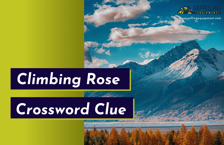 Climbing Rose Crossword Clue