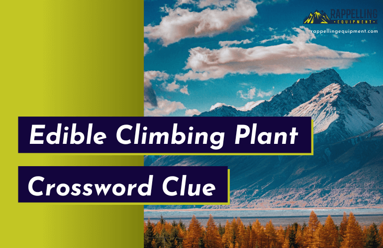 Edible Climbing Plant Crossword Clue