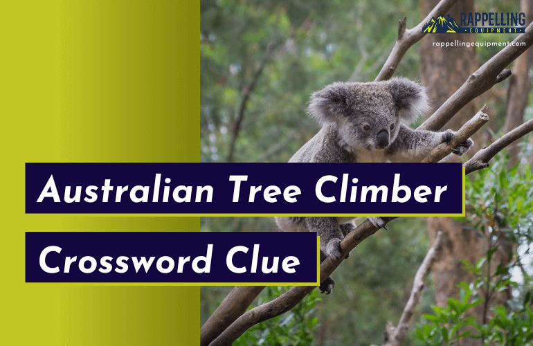 Australian Tree Climber Climber Crossword Clue (Right Answers)