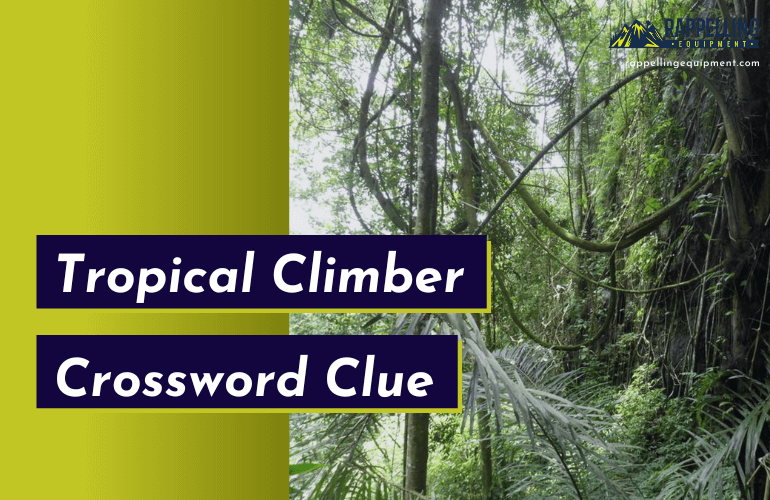 Tropical Climber Crossword Clue